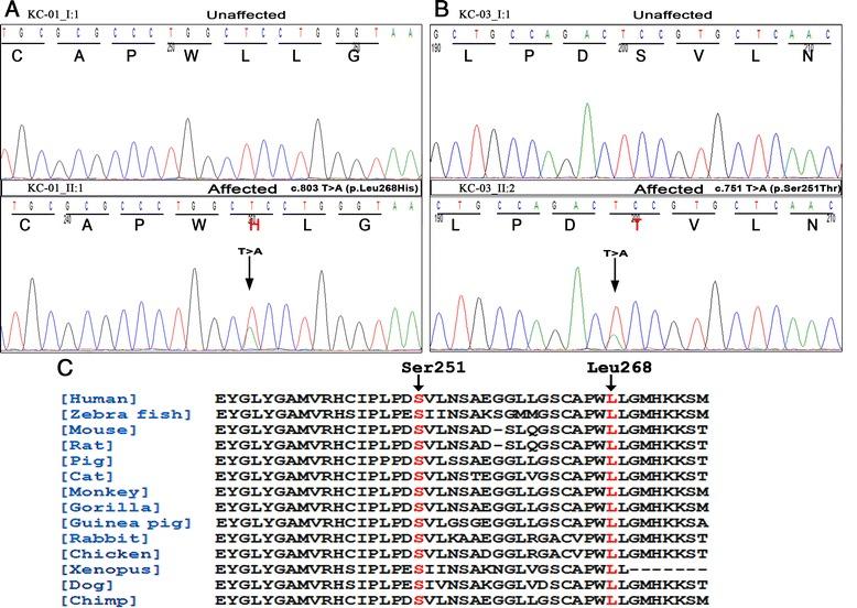 https://cdn.ncbi.nlm.nih.gov/pmc/blobs/271e/4630895/2753e0a94a38/12881_2015_178_Fig2_HTML.jpg
