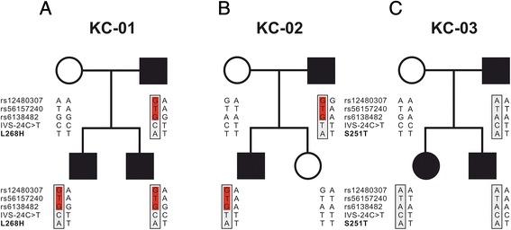 https://cdn.ncbi.nlm.nih.gov/pmc/blobs/271e/4630895/995daf34d674/12881_2015_178_Fig4_HTML.jpg