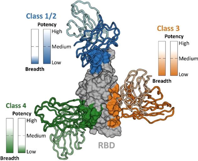 https://cdn.ncbi.nlm.nih.gov/pmc/blobs/271e/9177750/70c895ab37a9/41418_2022_1015_Fig5_HTML.jpg
