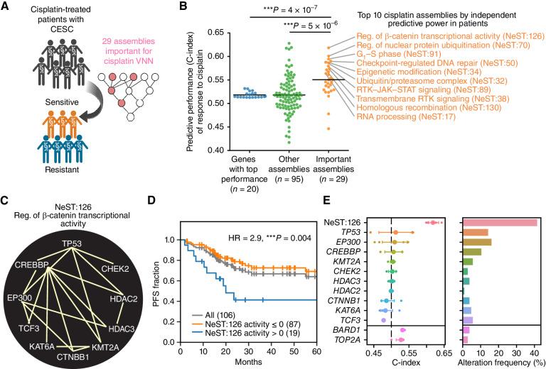 https://cdn.ncbi.nlm.nih.gov/pmc/blobs/271f/10905674/2b4297f10e0d/508fig6.jpg
