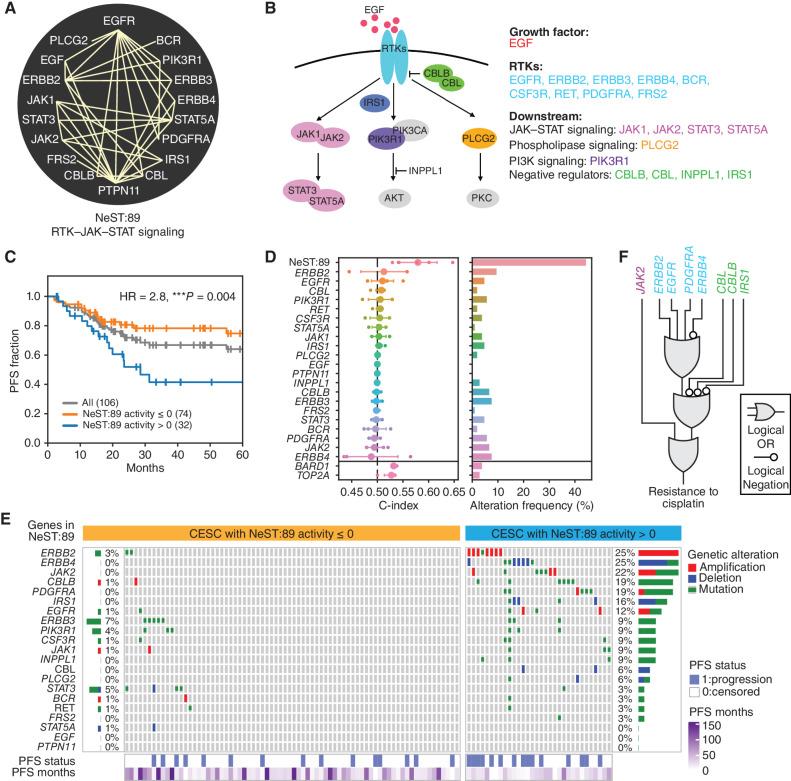 https://cdn.ncbi.nlm.nih.gov/pmc/blobs/271f/10905674/9518bc3940ba/508fig7.jpg