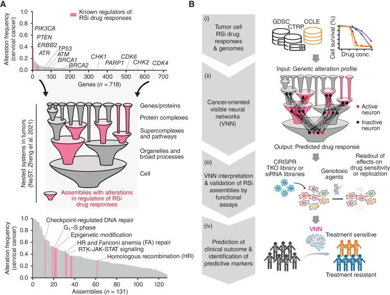 https://cdn.ncbi.nlm.nih.gov/pmc/blobs/271f/10905674/a3da02f6e1f8/508fig1.jpg