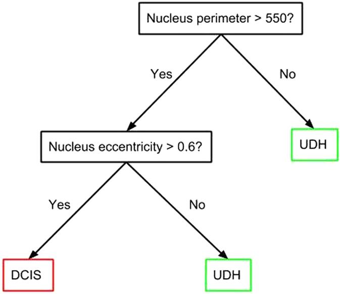 https://cdn.ncbi.nlm.nih.gov/pmc/blobs/2720/5575012/898acdbb1db0/41598_2017_10324_Fig3_HTML.jpg