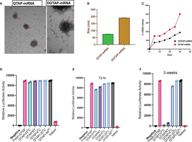 https://cdn.ncbi.nlm.nih.gov/pmc/blobs/2722/10286238/69e4b6bafafe/fimmu-14-1188754-g001.jpg