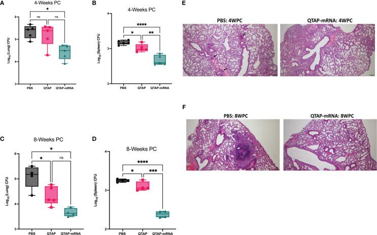https://cdn.ncbi.nlm.nih.gov/pmc/blobs/2722/10286238/c8e41ff71580/fimmu-14-1188754-g006.jpg