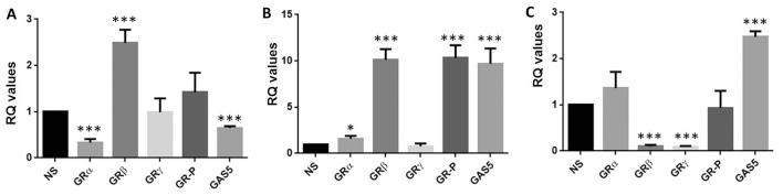 https://cdn.ncbi.nlm.nih.gov/pmc/blobs/2722/4809651/335035436e45/IJO-48-05-1805-g06.jpg