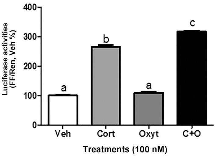 https://cdn.ncbi.nlm.nih.gov/pmc/blobs/2722/4809651/341dd2fc48fa/IJO-48-05-1805-g05.jpg