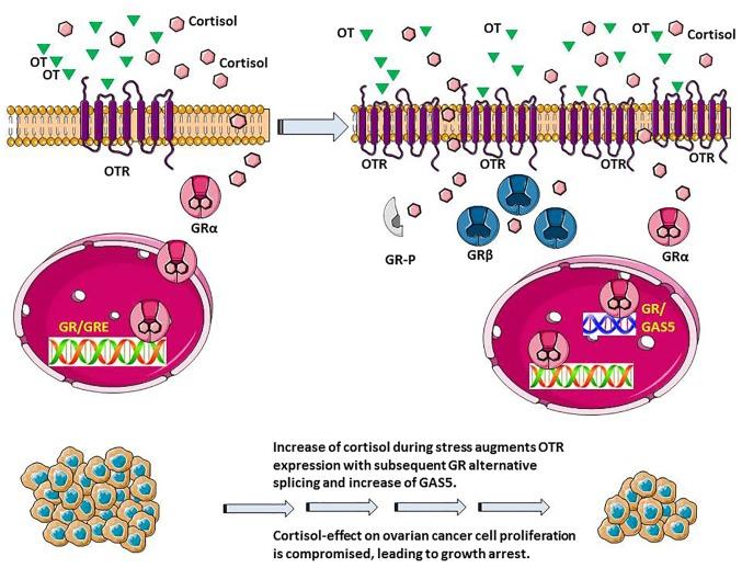 https://cdn.ncbi.nlm.nih.gov/pmc/blobs/2722/4809651/f8a62af6ab3c/IJO-48-05-1805-g07.jpg