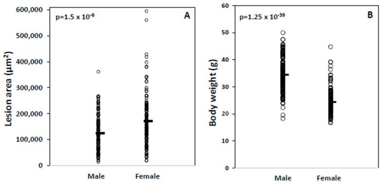 https://cdn.ncbi.nlm.nih.gov/pmc/blobs/2723/12072963/149cd02d0f35/ijms-26-04241-g001.jpg