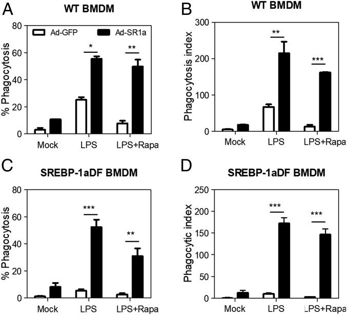 https://cdn.ncbi.nlm.nih.gov/pmc/blobs/2723/6310840/cca0930d5099/pnas.1813458115fig03.jpg