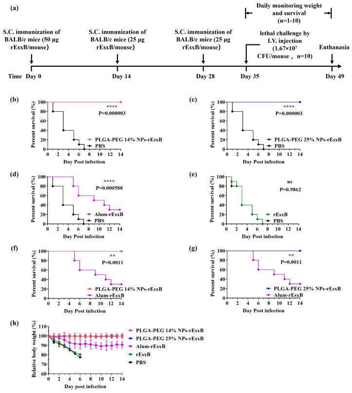 https://cdn.ncbi.nlm.nih.gov/pmc/blobs/2724/10892493/350964a51297/vaccines-12-00125-g004.jpg