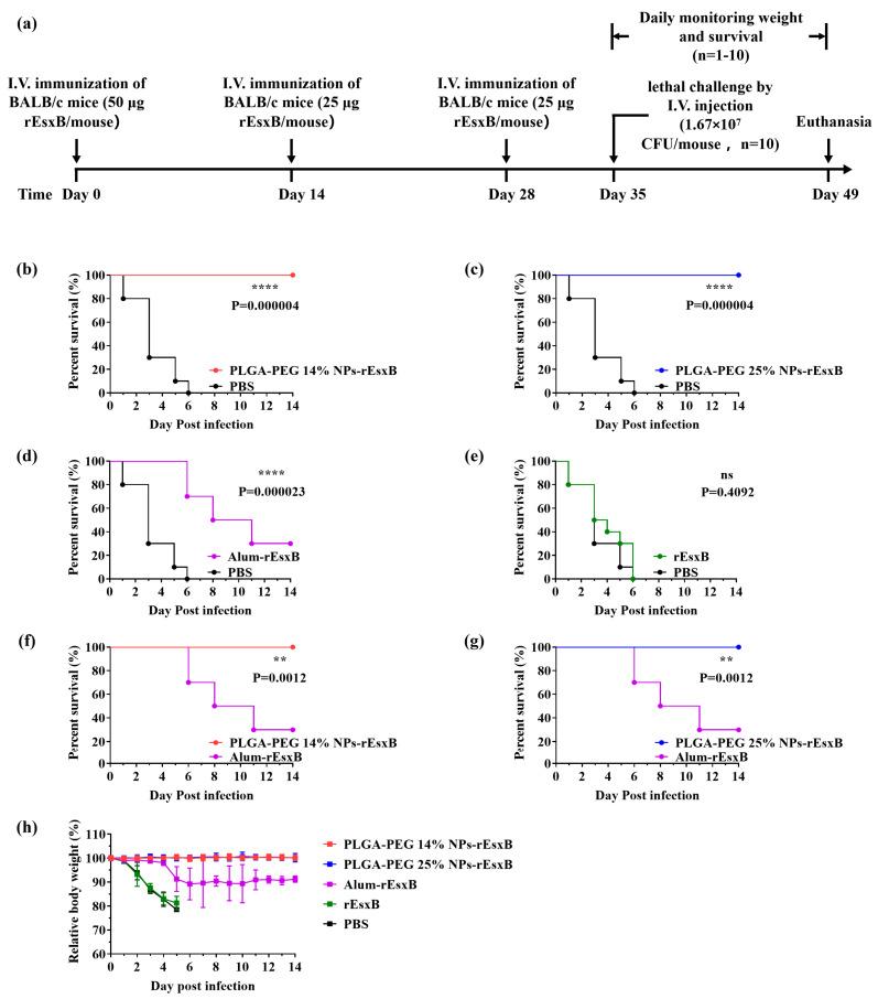 https://cdn.ncbi.nlm.nih.gov/pmc/blobs/2724/10892493/631b3ae9887f/vaccines-12-00125-g005.jpg