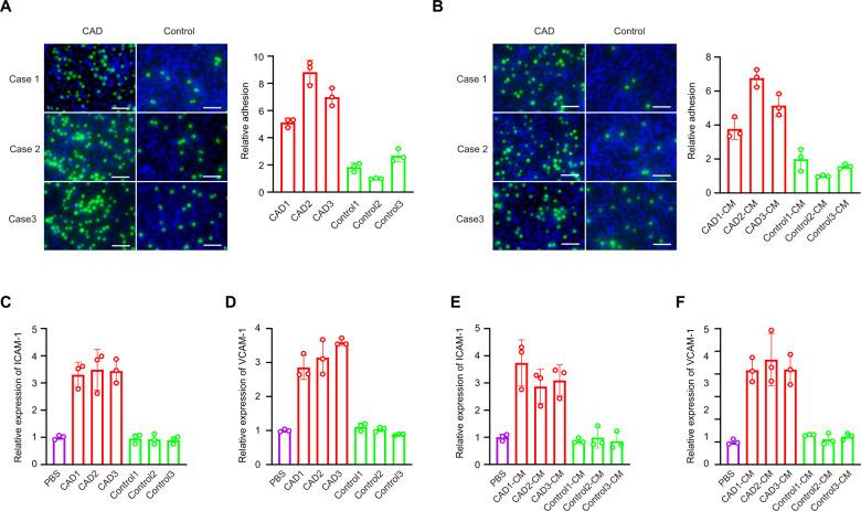 https://cdn.ncbi.nlm.nih.gov/pmc/blobs/2725/8516978/5b45f7021fde/41419_2021_4253_Fig1_HTML.jpg
