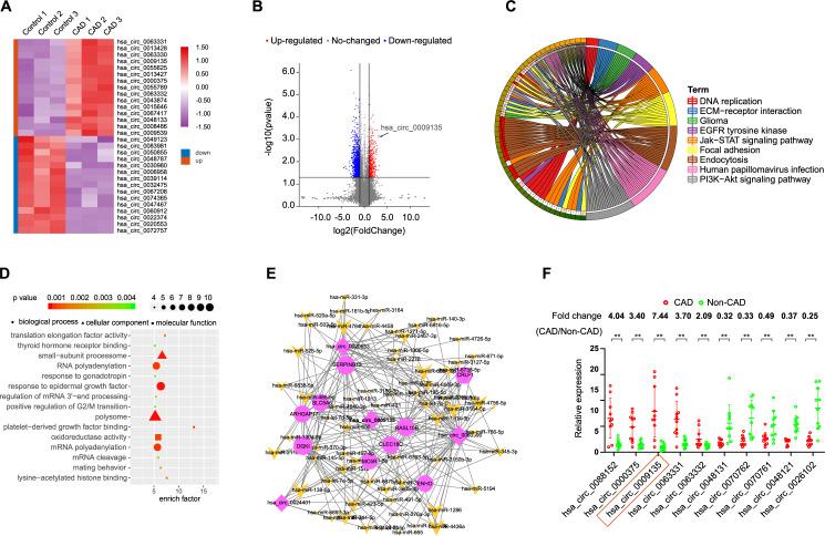 https://cdn.ncbi.nlm.nih.gov/pmc/blobs/2725/8516978/a7482e1145d1/41419_2021_4253_Fig3_HTML.jpg