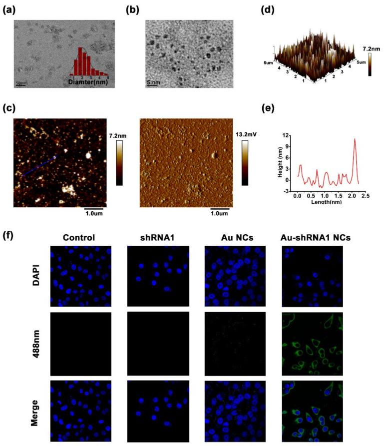 https://cdn.ncbi.nlm.nih.gov/pmc/blobs/2725/8615530/6582a55125b1/biosensors-11-00425-g004.jpg