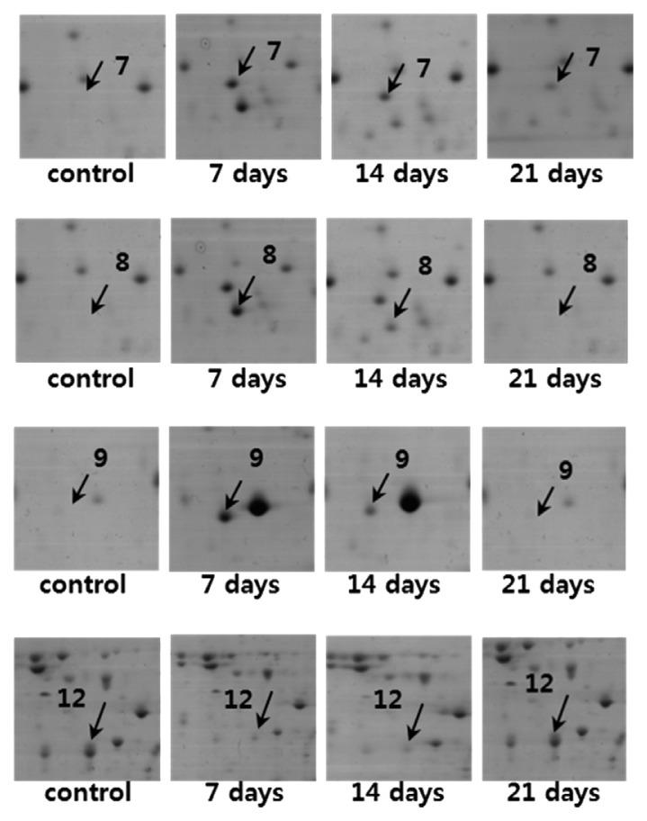 https://cdn.ncbi.nlm.nih.gov/pmc/blobs/2727/4755672/3392948def67/ppj-32-025f4.jpg