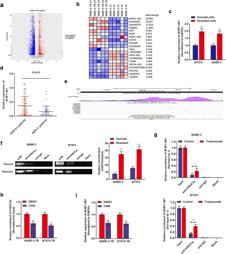https://cdn.ncbi.nlm.nih.gov/pmc/blobs/2729/7001272/49bac23fb70a/12943_2020_1145_Fig1_HTML.jpg