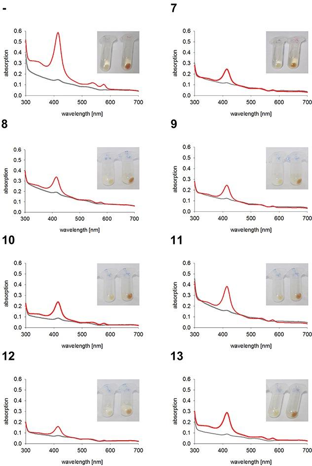 https://cdn.ncbi.nlm.nih.gov/pmc/blobs/272a/5620182/b10ada79463f/oncotarget-08-67406-g006.jpg