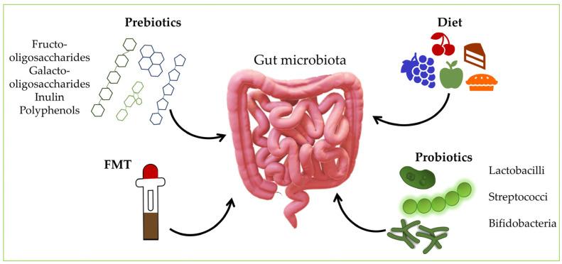 https://cdn.ncbi.nlm.nih.gov/pmc/blobs/272a/9781915/c07936f34539/microorganisms-10-02405-g002.jpg