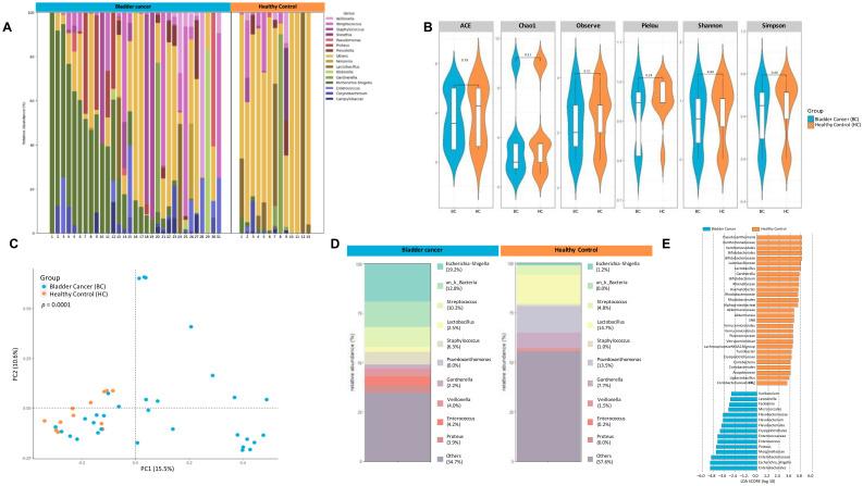 https://cdn.ncbi.nlm.nih.gov/pmc/blobs/272b/12318727/18763a4993de/fonc-15-1506319-g003.jpg