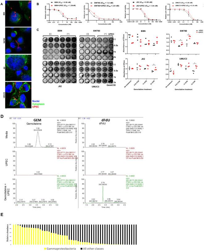 https://cdn.ncbi.nlm.nih.gov/pmc/blobs/272b/12318727/3a878eeabc99/fonc-15-1506319-g002.jpg
