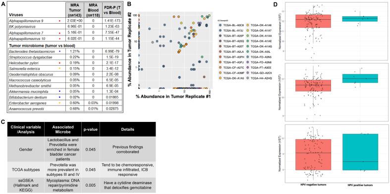 https://cdn.ncbi.nlm.nih.gov/pmc/blobs/272b/12318727/abe69033f728/fonc-15-1506319-g001.jpg