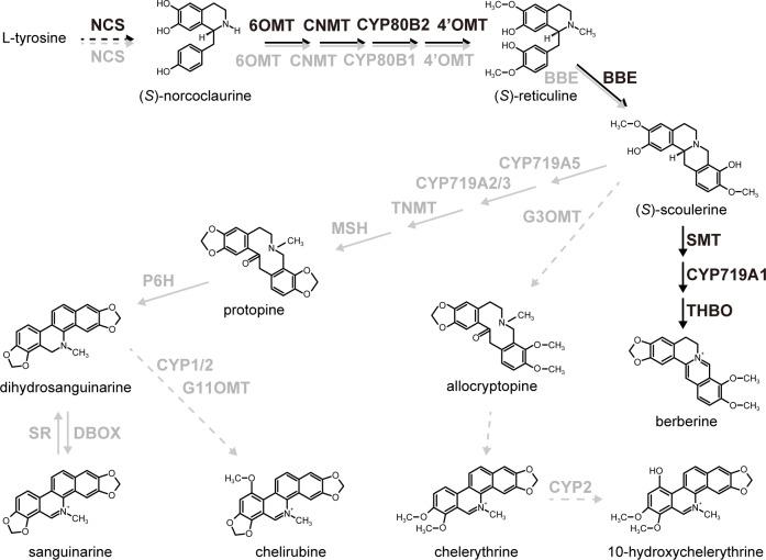 https://cdn.ncbi.nlm.nih.gov/pmc/blobs/272c/5659775/61978e8267f5/pone.0186953.g001.jpg
