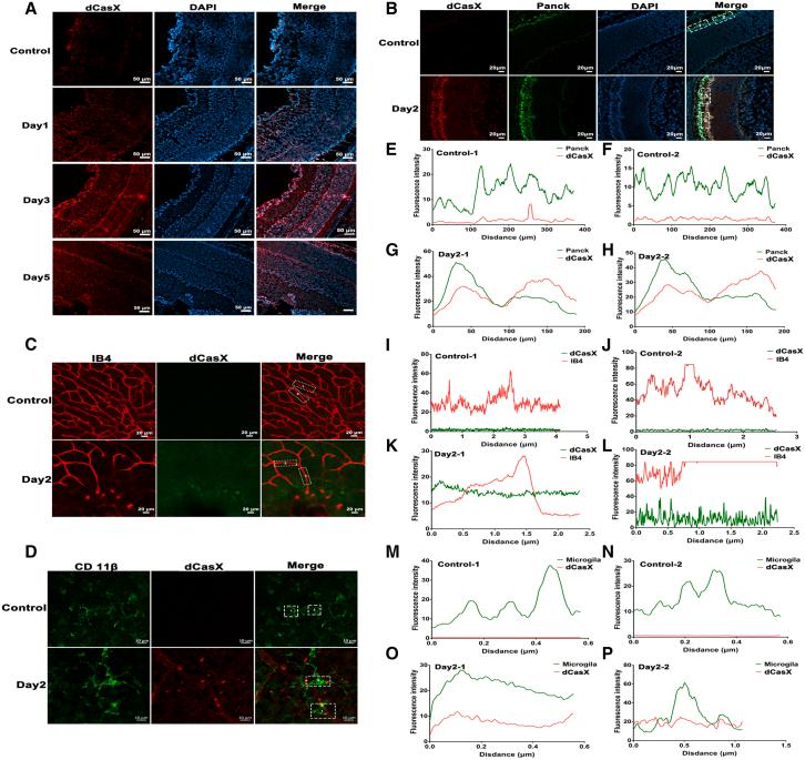 https://cdn.ncbi.nlm.nih.gov/pmc/blobs/272d/10469388/0b649e33fb0b/gr3.jpg