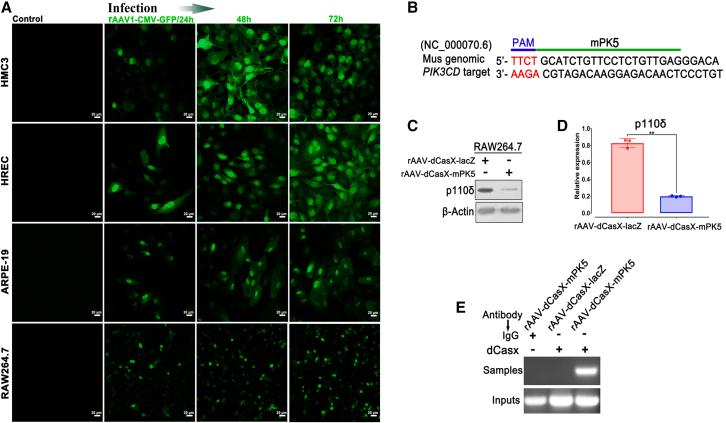 https://cdn.ncbi.nlm.nih.gov/pmc/blobs/272d/10469388/463bf3bfa5d3/gr2.jpg