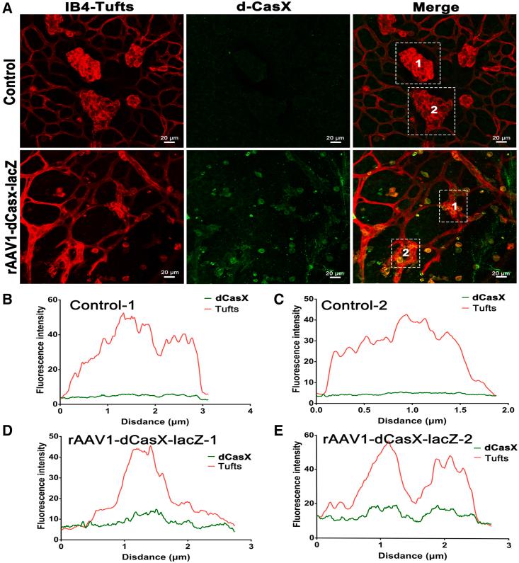 https://cdn.ncbi.nlm.nih.gov/pmc/blobs/272d/10469388/6929d0cc6a05/gr4.jpg
