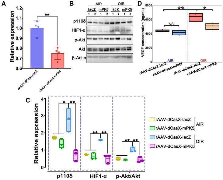 https://cdn.ncbi.nlm.nih.gov/pmc/blobs/272d/10469388/71914bac5ef4/gr6.jpg