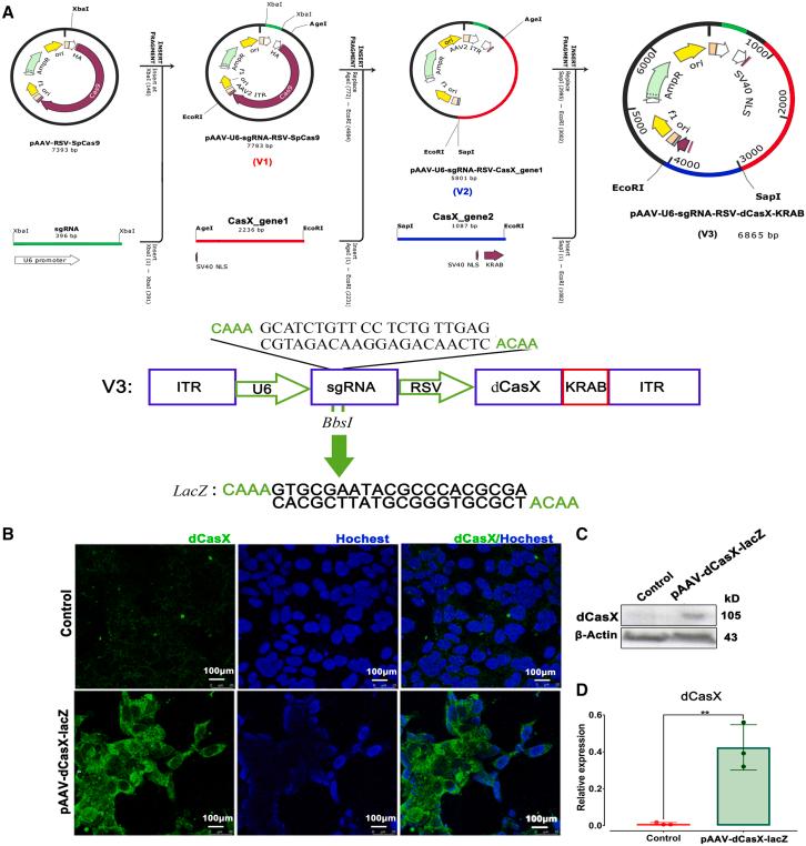 https://cdn.ncbi.nlm.nih.gov/pmc/blobs/272d/10469388/7200f11a89c9/gr1.jpg