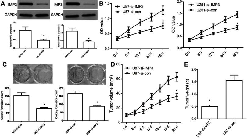 https://cdn.ncbi.nlm.nih.gov/pmc/blobs/2730/6527097/b3b4ea0f73d4/OTT-12-3661-g0003.jpg
