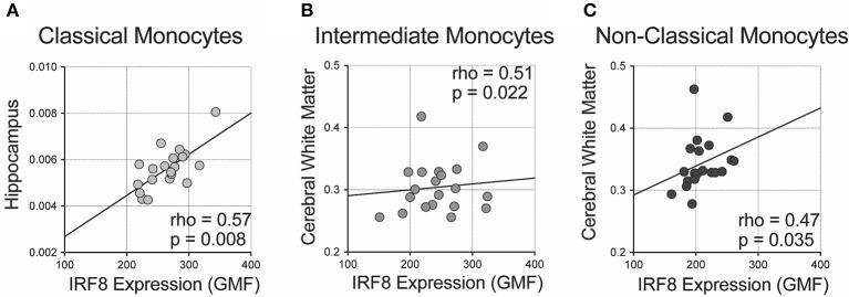 https://cdn.ncbi.nlm.nih.gov/pmc/blobs/2732/6895026/ce7612da6a92/fimmu-10-02789-g0003.jpg