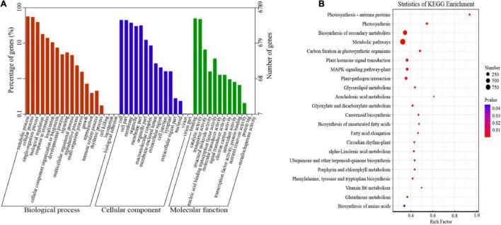 https://cdn.ncbi.nlm.nih.gov/pmc/blobs/2732/8981722/89b54c3c9c68/fpls-13-819630-g003.jpg