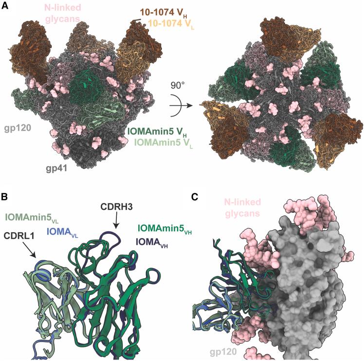 https://cdn.ncbi.nlm.nih.gov/pmc/blobs/2733/12117015/230a6854beac/gr3.jpg