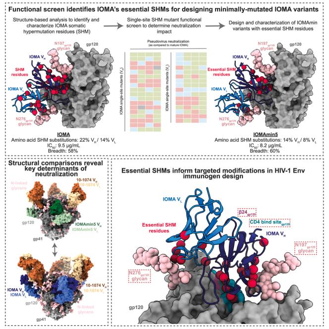 https://cdn.ncbi.nlm.nih.gov/pmc/blobs/2733/12117015/67bcfce43d7a/fx1.jpg