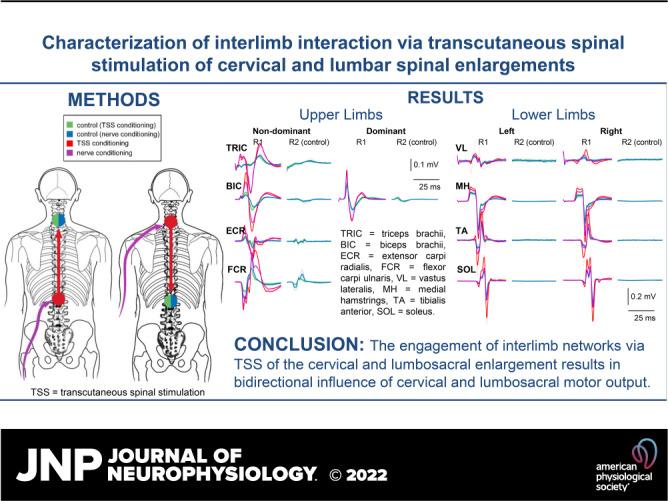 https://cdn.ncbi.nlm.nih.gov/pmc/blobs/2733/8993515/849be8a4b23d/jn-00456-2021r01.jpg