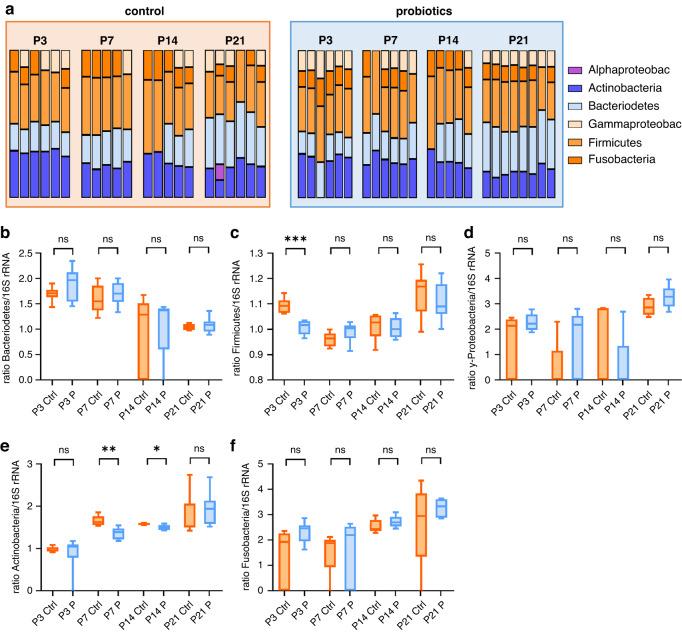 https://cdn.ncbi.nlm.nih.gov/pmc/blobs/2734/11772233/1f27eb2c8a2a/41390_2024_3029_Fig4_HTML.jpg
