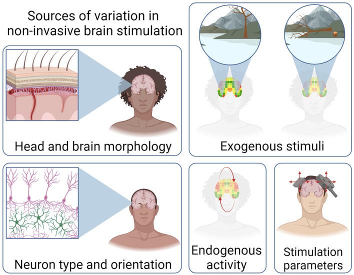 https://cdn.ncbi.nlm.nih.gov/pmc/blobs/2736/10982339/7be9f09f6148/fnhum-18-1385427-g0002.jpg