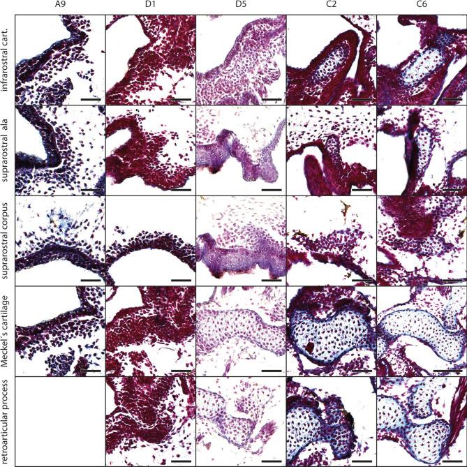 https://cdn.ncbi.nlm.nih.gov/pmc/blobs/2737/11347657/082eb920be55/41598_2024_70724_Fig2_HTML.jpg