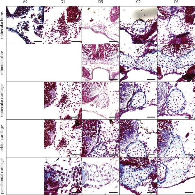 https://cdn.ncbi.nlm.nih.gov/pmc/blobs/2737/11347657/fb17e318b7a2/41598_2024_70724_Fig8_HTML.jpg