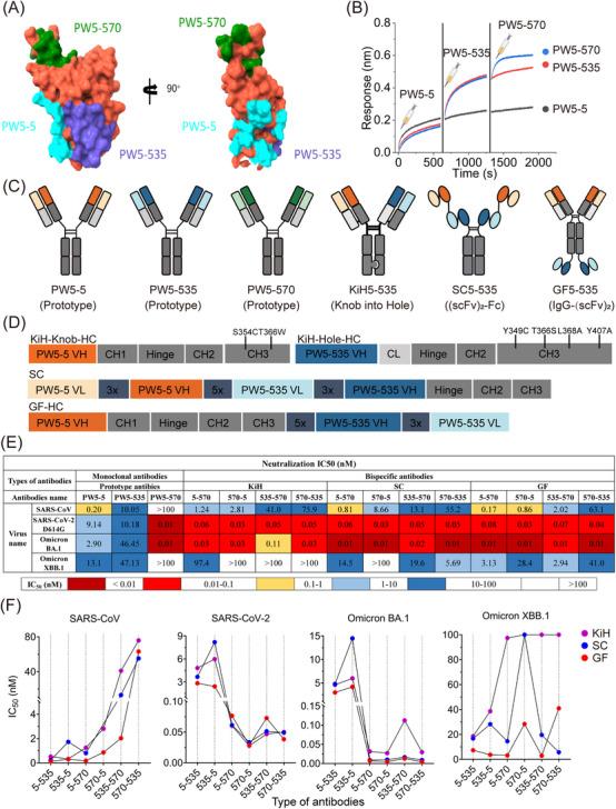 https://cdn.ncbi.nlm.nih.gov/pmc/blobs/2737/12010136/09fa370b130b/MCO2-6-e70191-g004.jpg