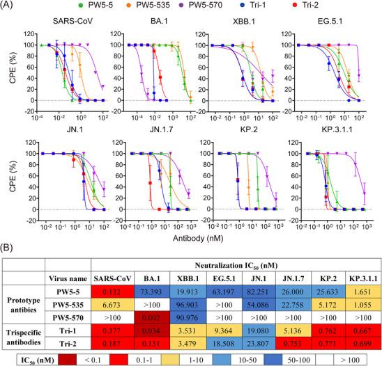 https://cdn.ncbi.nlm.nih.gov/pmc/blobs/2737/12010136/81e150482ba4/MCO2-6-e70191-g002.jpg