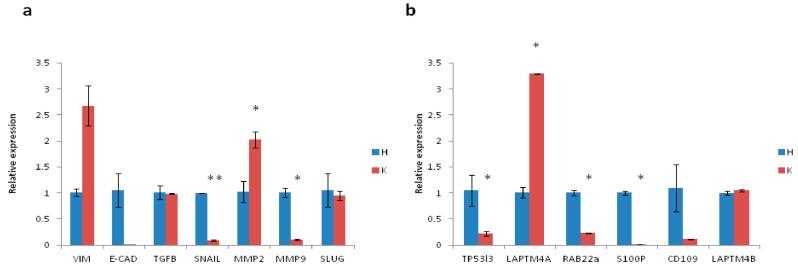 https://cdn.ncbi.nlm.nih.gov/pmc/blobs/2738/5751264/646a26e328cb/ijms-18-02662-g003.jpg