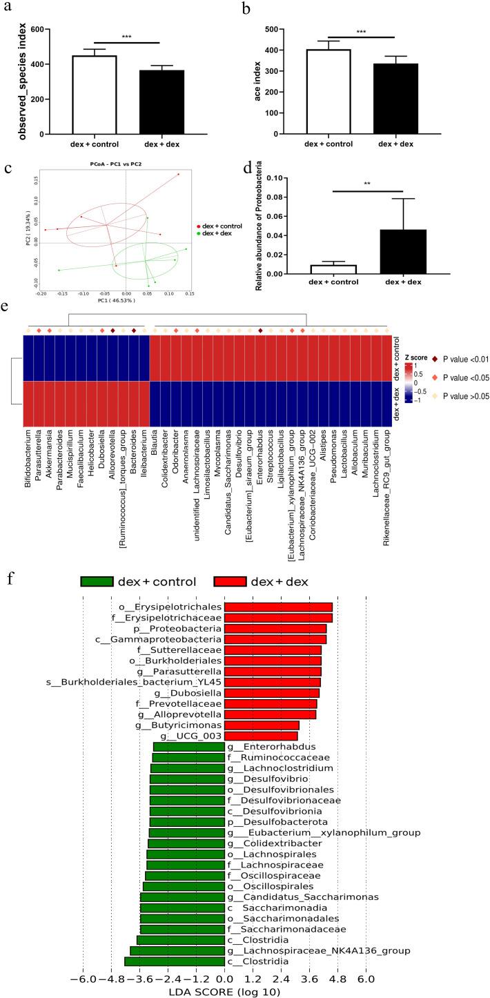 https://cdn.ncbi.nlm.nih.gov/pmc/blobs/2739/10865841/0470c10b684a/mbio.02943-23.f006.jpg