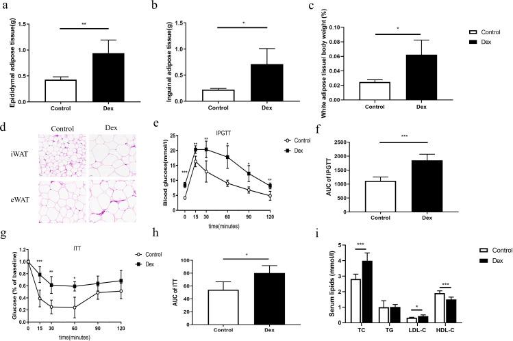 https://cdn.ncbi.nlm.nih.gov/pmc/blobs/2739/10865841/0667d4dd093b/mbio.02943-23.f001.jpg
