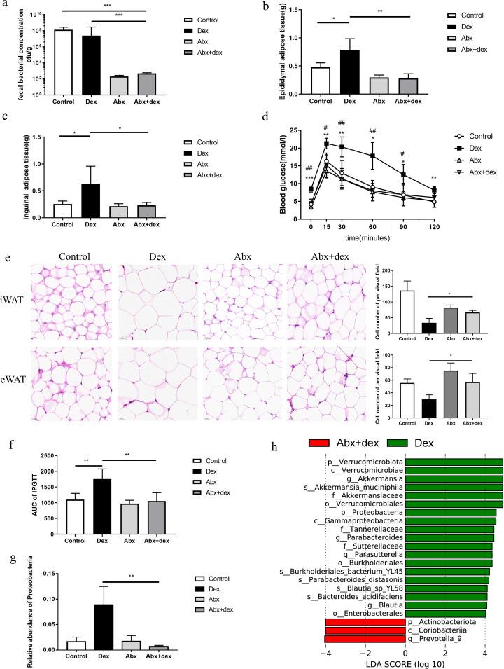 https://cdn.ncbi.nlm.nih.gov/pmc/blobs/2739/10865841/95949c533744/mbio.02943-23.f004.jpg
