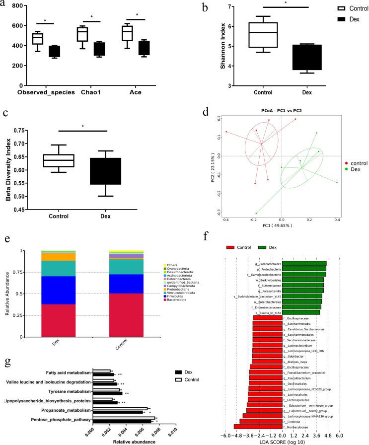 https://cdn.ncbi.nlm.nih.gov/pmc/blobs/2739/10865841/f242835ec47f/mbio.02943-23.f002.jpg