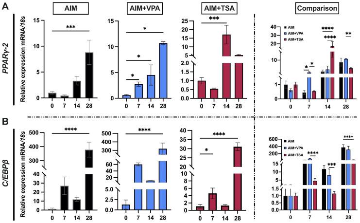 https://cdn.ncbi.nlm.nih.gov/pmc/blobs/2739/12192146/a59bb0957981/epigenomes-09-00015-g004.jpg